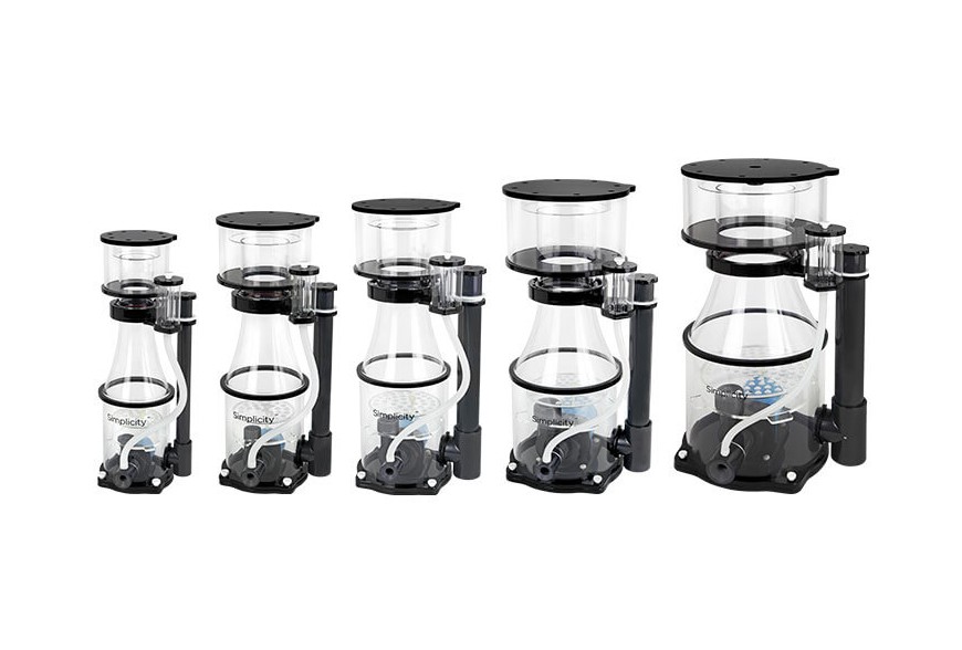 El Skimmer en la palestra